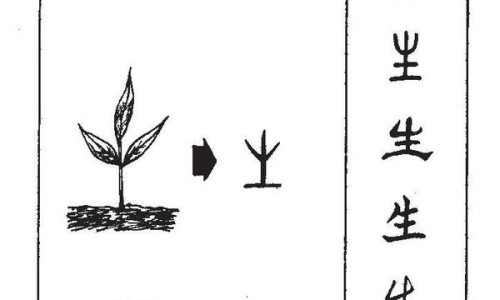 发烧感冒期间来月经怎么办-发烧感冒图片,中国发烧感冒期间来月经网站